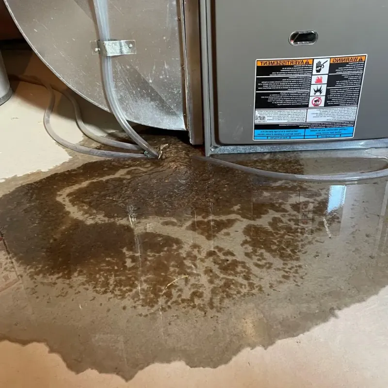 Pipe Burst and Leak Restoration in Denison, IA