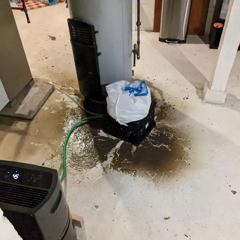Sewage Backup Cleanup Service in Denison, IA